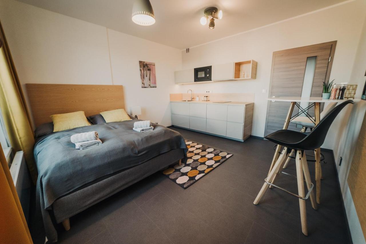 Apartmán Beautiful New Studio, 400M From The Square Plzeň Exteriér fotografie